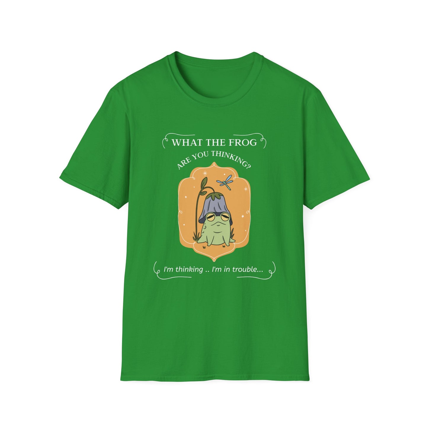 Animals Tees, Funny Animals Shirt, Funny T Shirts, Funny Frog Shirt
