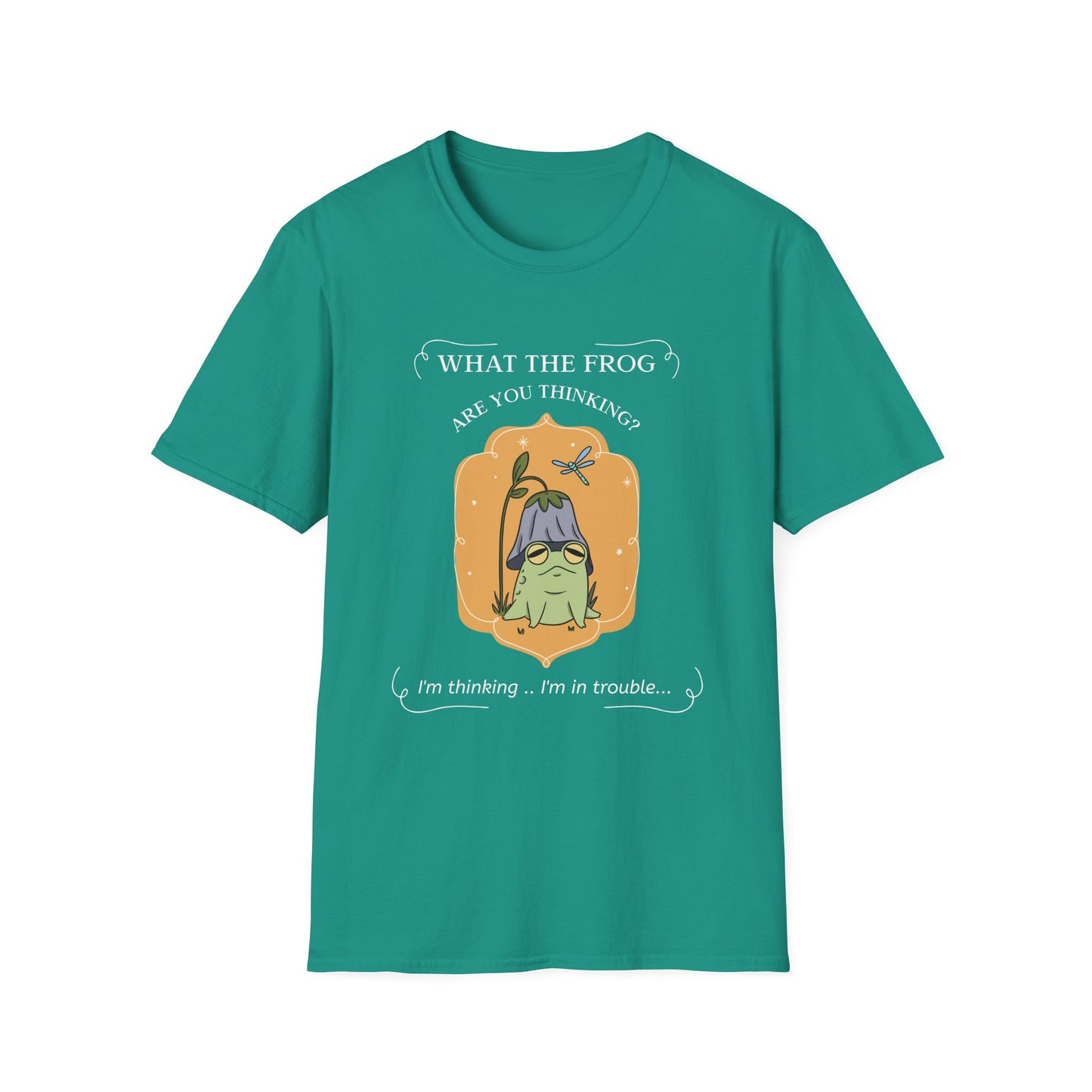 Animals Tees, Funny Animals Shirt, Funny T Shirts, Funny Frog Shirt