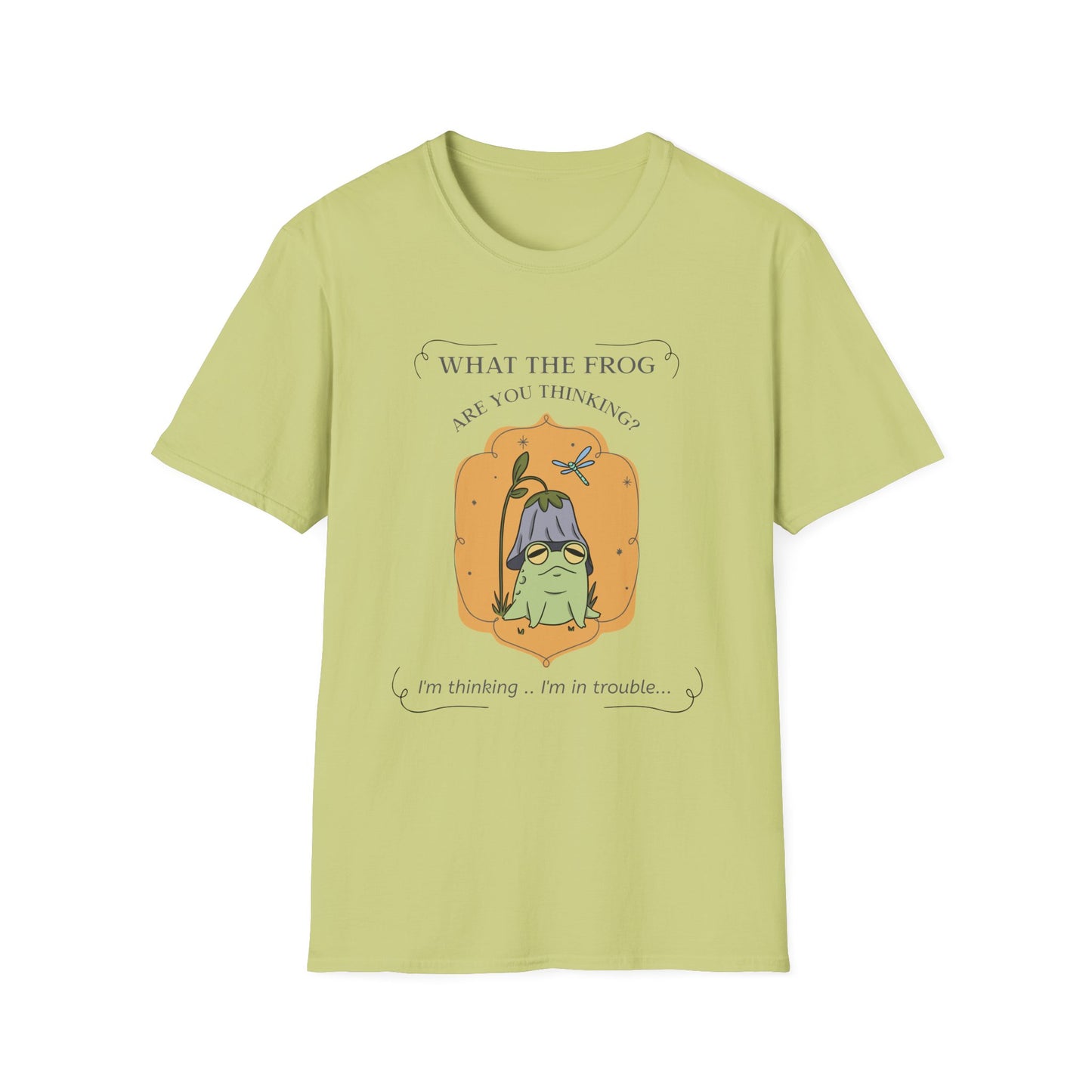 Animals Tees, Funny Animals Shirt, Funny T Shirts, Funny Frog Shirt